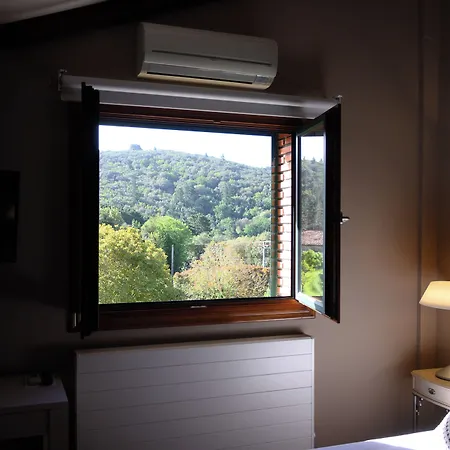 Gametxo 이바란겔루